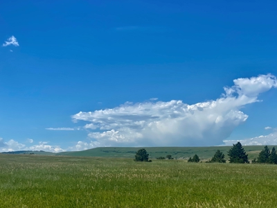 Snowy Mountain Acreage - image 3