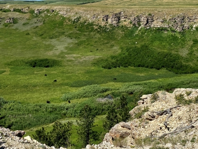 Snowy Mountain Acreage - image 26