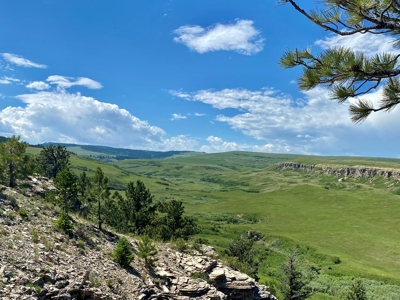 Snowy Mountain Acreage - image 17
