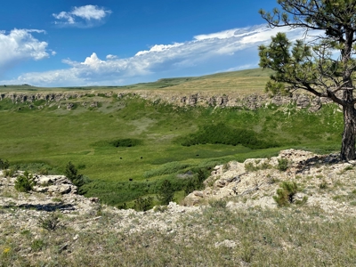 Snowy Mountain Acreage - image 14