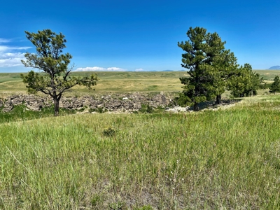 Snowy Mountain Acreage - image 12