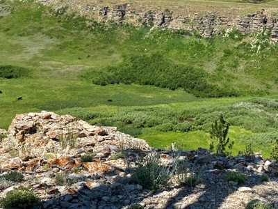 Snowy Mountain Acreage - image 24