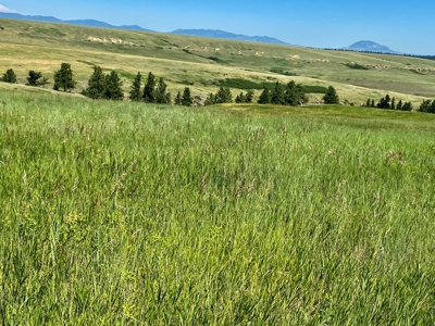 Snowy Mountain Acreage - image 11