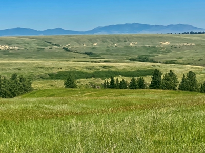 Snowy Mountain Acreage - image 9