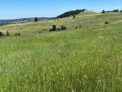 Snowy Mountain Acreage - image 10
