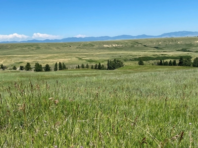 Snowy Mountain Acreage - image 12