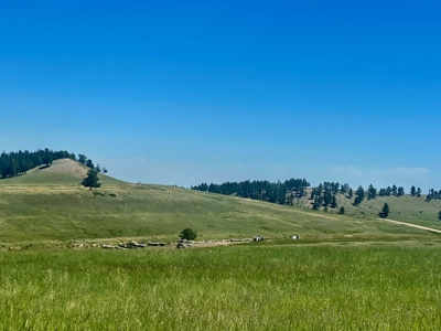 Snowy Mountain Acreage - image 13