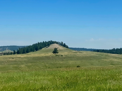 Snowy Mountain Acreage - image 8