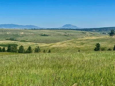 Snowy Mountain Acreage - image 1