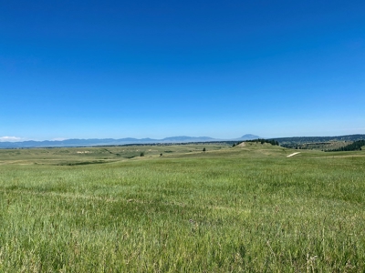 Snowy Mountain Acreage - image 2