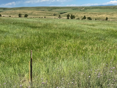 Snowy Mountain Acreage - image 11