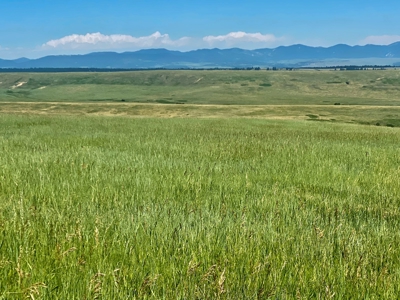 Snowy Mountain Acreage - image 4