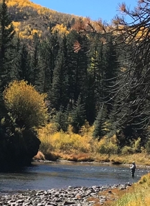 Gold Medal Fly Fishing On Private River Frontage!! - image 42