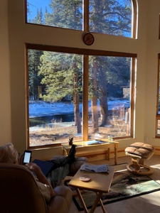 Gold Medal Fly Fishing On Private River Frontage!! - image 29