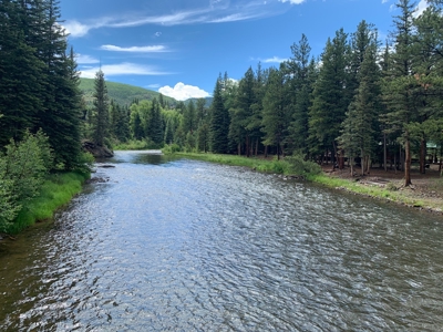 Gold Medal Fly Fishing On Private River Frontage!! - image 44