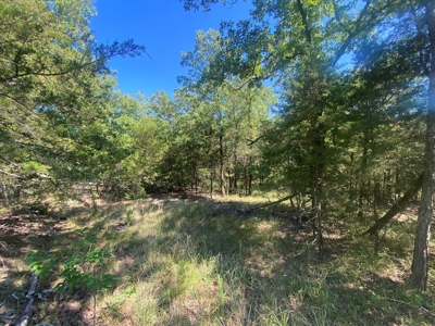 Land for Sale Southeast Oklahoma- Latimer County - Oklahoma - image 1