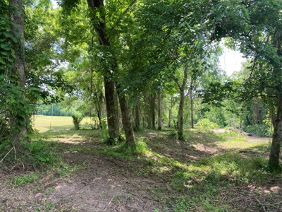 Rv Lot For Sale On Indian Creek In Savannah, Tn - image 8