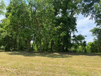 Rv Lot For Sale On Indian Creek In Savannah, Tn - image 4