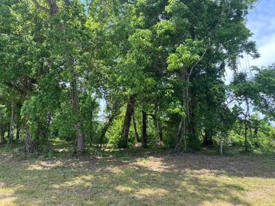 Rv Lot For Sale On Indian Creek In Savannah, Tn - image 5