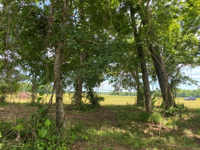 Rv Lot For Sale On Indian Creek In Savannah, Tn - image 15