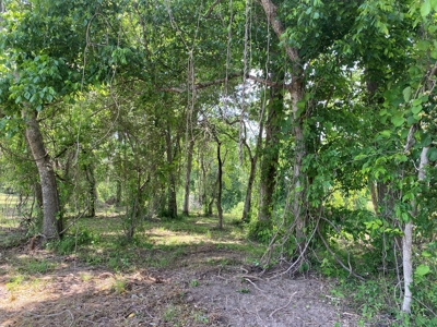 Rv Lot For Sale On Indian Creek In Savannah, Tn - image 6