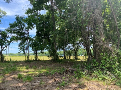 Rv Lot For Sale On Indian Creek In Savannah, Tn - image 13