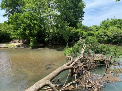 Rv Lot For Sale On Indian Creek In Savannah, Tn - image 18