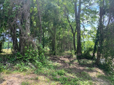 Rv Lot For Sale On Indian Creek In Savannah, Tn - image 12