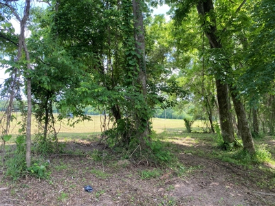 Rv Lot For Sale On Indian Creek In Savannah, Tn - image 7