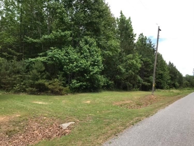 20 Year Old Planted Pines In Southern VA - image 6