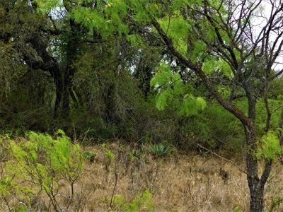 Beautiful Hunting Ranch for Sale - image 16