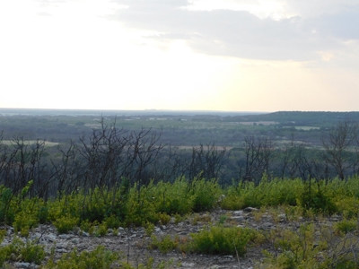 Beautiful Hunting Ranch for Sale - image 6