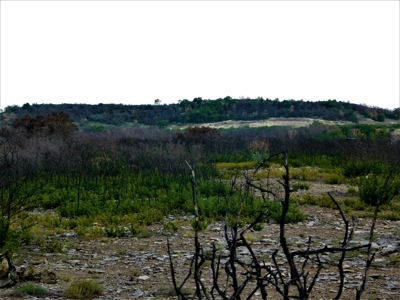 Beautiful Hunting Ranch for Sale - image 7