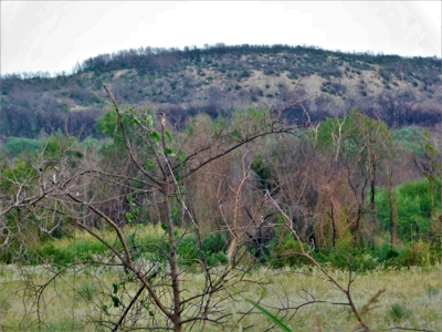 Beautiful Hunting Ranch for Sale - image 1