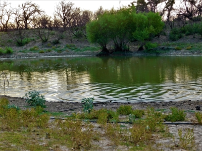 Beautiful Hunting Ranch for Sale - image 19