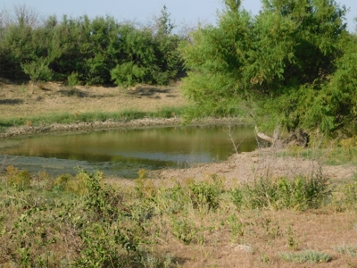 Beautiful Hunting Ranch for Sale - image 3