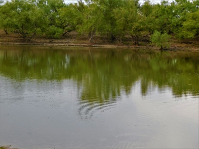 Beautiful Hunting Ranch for Sale - image 13
