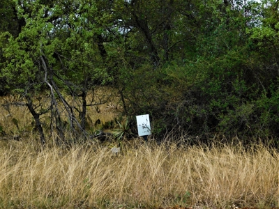 Beautiful Hunting Ranch for Sale - image 14