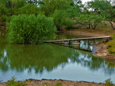 Beautiful Hunting Ranch for Sale - image 15