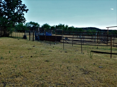 Beautiful Hunting Ranch for Sale - image 17