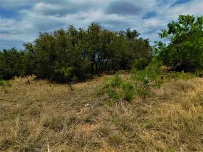 Beautiful Hunting Ranch for Sale - image 22