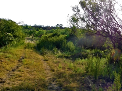 Beautiful Hunting Ranch for Sale - image 4