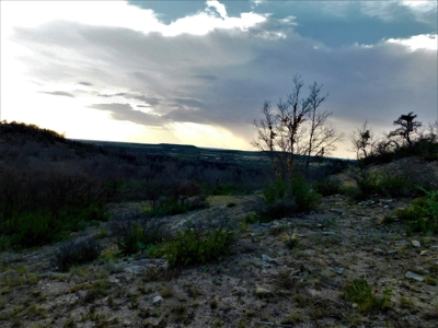 Beautiful Hunting Ranch for Sale - image 8