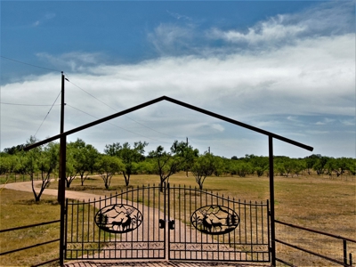 Home in the Country for sale - image 1