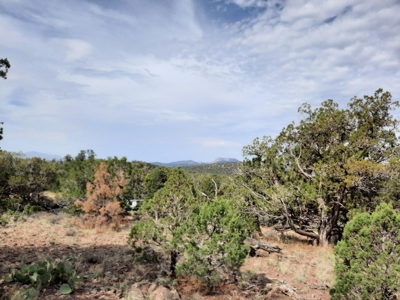 Beautiful Property - image 3