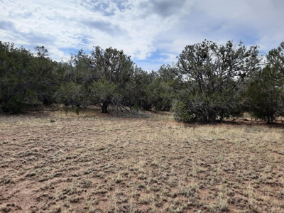 Beautiful Property - image 10