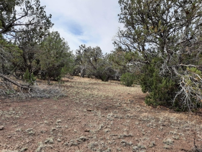 Beautiful Property - image 11