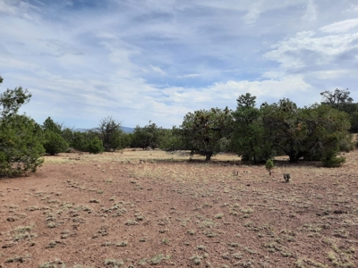 Beautiful Property - image 13
