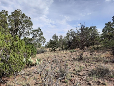Beautiful Property - image 4