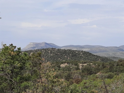 Beautiful Property - image 6